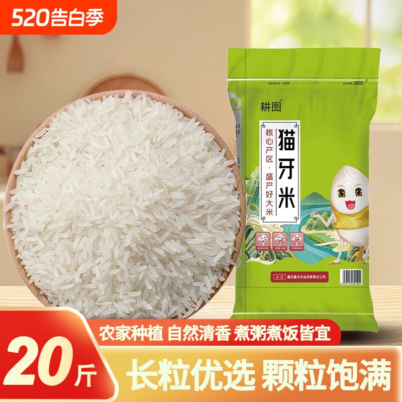 南方大米猫牙米10斤/20斤新米晚稻米丝苗米长粒香米饭袋装软糯