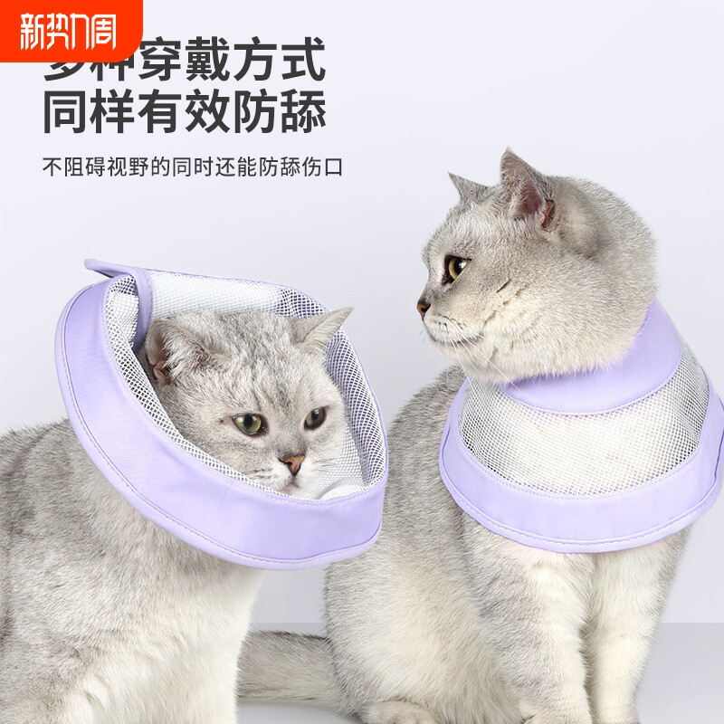 透气网纱伊丽莎白圈防水防舔宠物美容圈夏季猫头套猫狗项圈批发