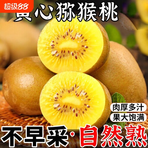 黄心猕猴桃软糯大果黄奇异果时令鲜果果园直发果园现摘整箱包邮
