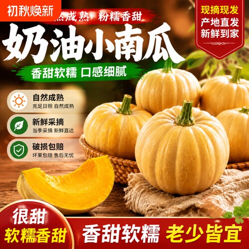 日本正宗奶油小南瓜新鲜当季贝贝南瓜粉糯香甜宝宝辅食板栗味南瓜