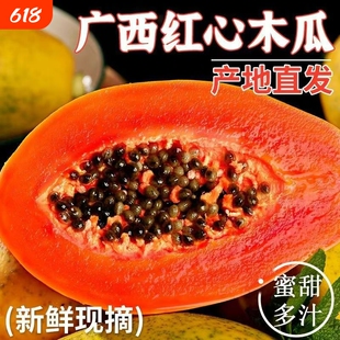 广西红心牛奶木瓜冰糖心树上熟当季老人儿童孕妇下奶水果香蕉新鲜