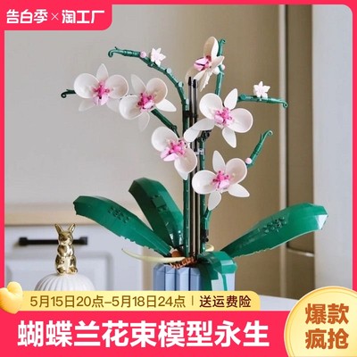 兰花积木蝴蝶兰花束模型玫瑰花