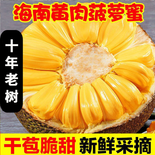 海南黄肉菠萝蜜新鲜水果波罗密一整个包邮当季现摘爆甜批发价热带