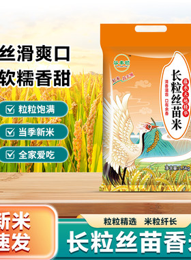 工厂直发长粒丝苗米上市煲仔米饭当季大1斤2斤3斤5斤源头谷丰生态