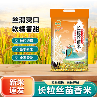 工厂直发长粒丝苗米新品 大1斤2斤3斤5斤 上市煲仔米饭当季