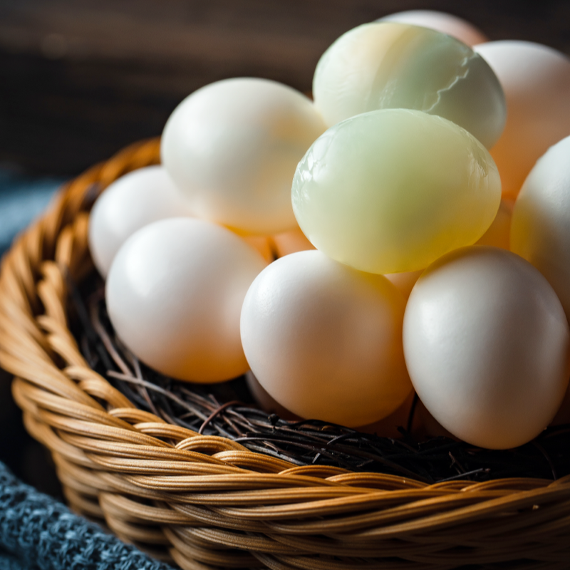 新鲜鸽子蛋10枚/20枚装顺丰包邮