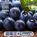 云南蓝莓王新鲜水果高山花香当季 整箱特大果顺丰上门L25孕妇纯甜