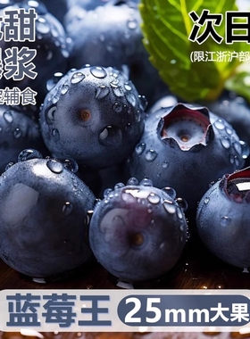 云南蓝莓王新鲜水果高山花香当季整箱特大果顺丰L25孕妇纯甜现摘