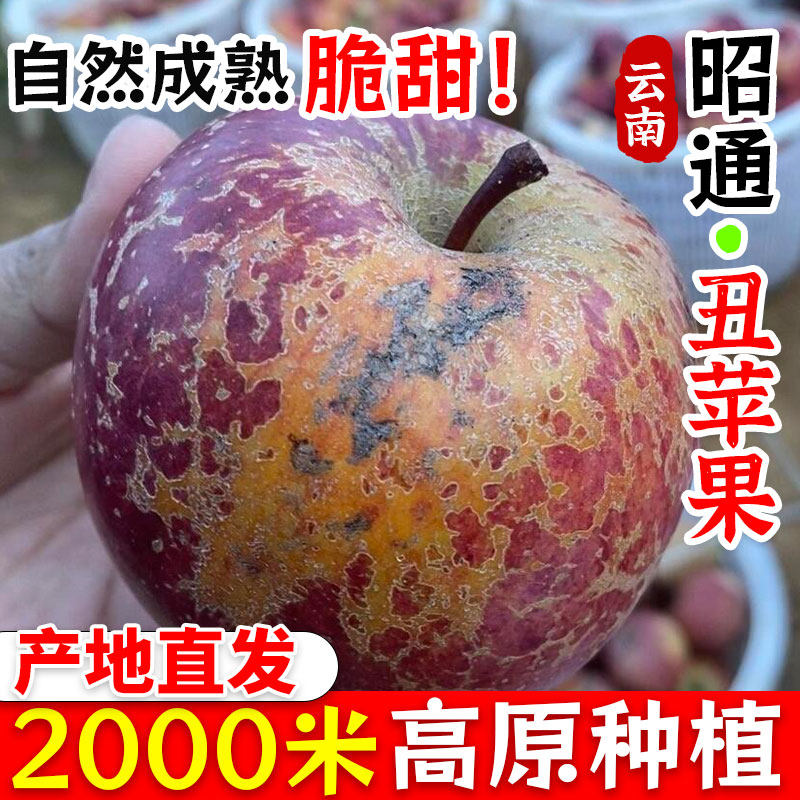 正宗云南昭通丑苹果冰糖心新鲜水果当应季,水产肉类/新鲜蔬果/熟食,苹果,淘宝优惠券,粉丝福利购,淘宝优惠卷