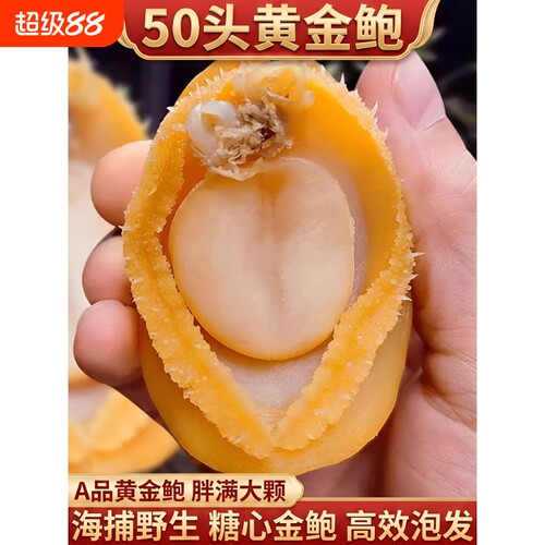 福建鲍精品大鲍鱼干|232人收藏