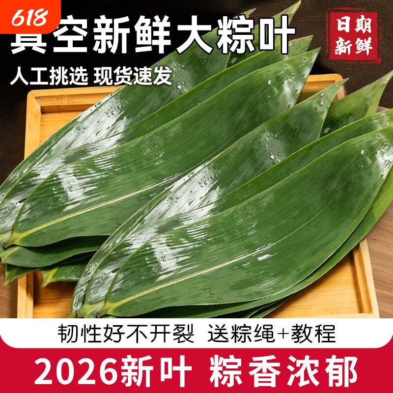 粽子叶新鲜粽叶大号新叶包粽子专用叶子端午节商用批发送绳粽子叶