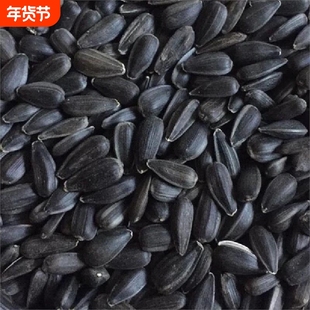 新优质黑珍珠小瓜子/葵仁/油葵籽 鹦鹉鸟食仓鼠零食鸟粮