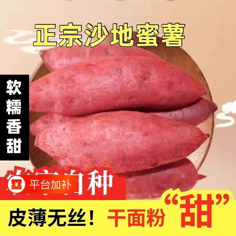新鲜沙地蜜薯红薯地瓜板栗糖心番薯山芋农家自种现挖龙九黄心