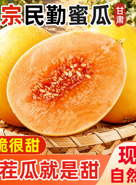 正宗甘肃民勤蜜瓜整箱包邮