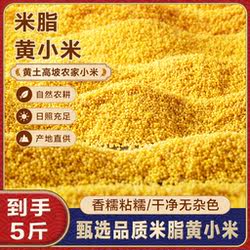 陕西小米黄小米新鲜米陕北米脂油小米五谷杂粮5斤装粗粮益康优质