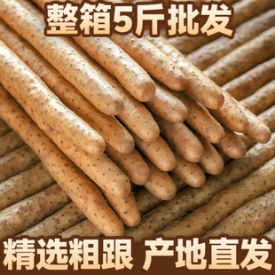 包邮 粉糯铁棍山药山药小白嘴山药粗款 香面新鲜蔬菜山药多规格