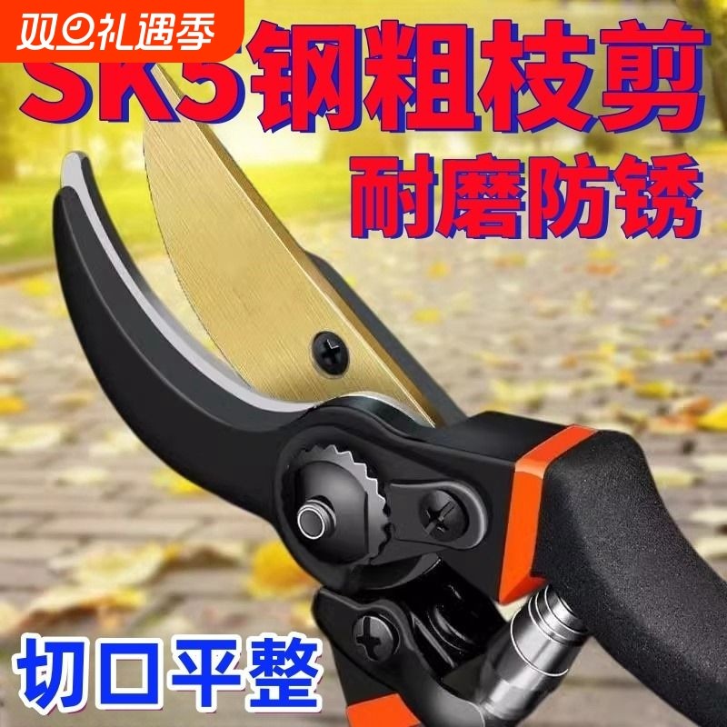 剪树枝剪刀专用花剪园艺园林修枝园丁剪嫁接强力采摘省力修水果树