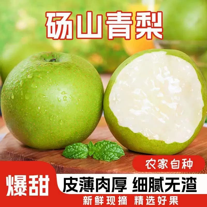 2026年正宗砀山梨皇冠梨青皮蜜梨爆甜多汁脆新鲜整箱包邮脆甜现摘 梨御实拍商品图