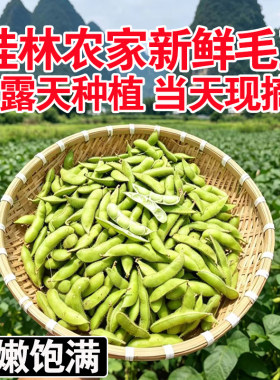 桂林当季新鲜现摘毛豆带壳嫩黄豆子青豆毛豆角仁农家自种商用批发