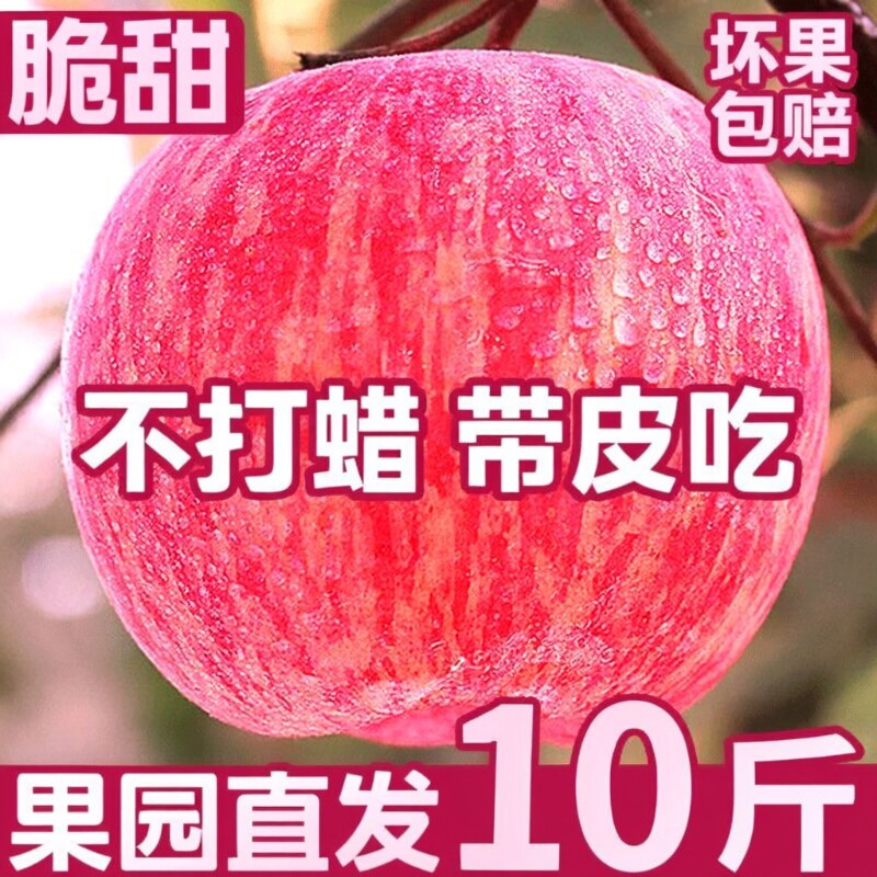 正宗山西苹果水果新鲜红富士现摘现发时令包邮脆甜不打蜡果园大果