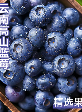 云南蓝莓王高山花香新鲜水果当季整箱特大果L25孕妇纯甜大盒包邮