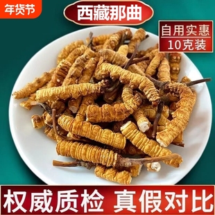 西藏正宗野生虫草冬虫草正品干货断草滋补藏区高海拔