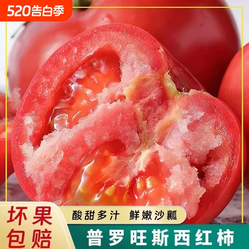 泾阳水果番茄自然熟生吃自然熟沙瓤新鲜沙瓤番茄普罗旺斯当季黄