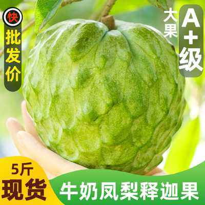 云南高原新鲜牛奶凤梨释迦林檎番荔枝摩尼果现摘直发当季新鲜水果