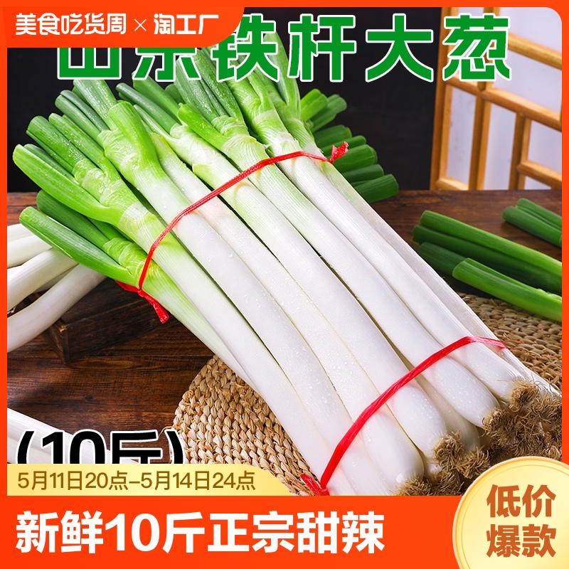 精品山东大葱新鲜10斤鲜嫩脆爽