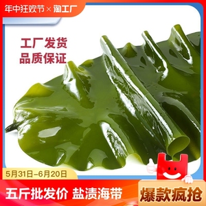 霞浦新鲜盐渍海带整颗海带少盐保鲜无防腐剂可火锅麻辣烫食材批发