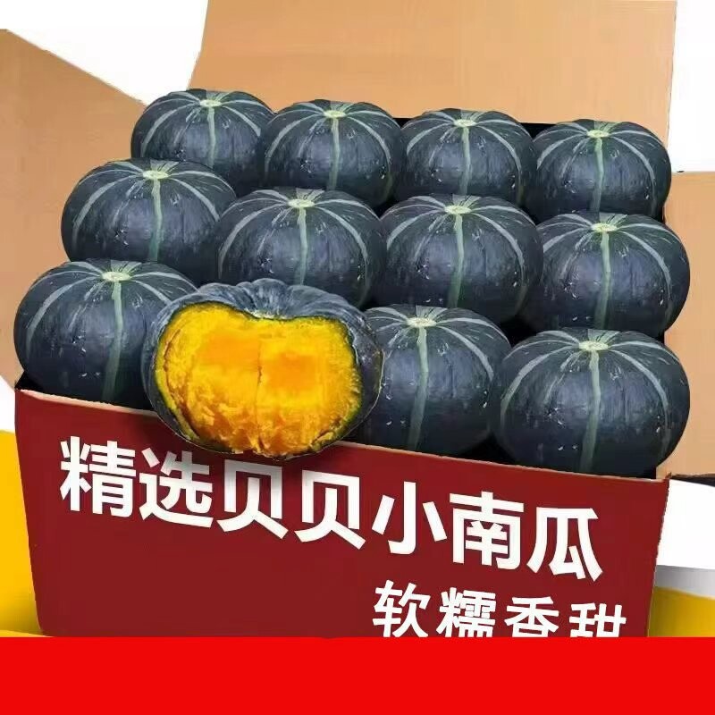 贝贝南瓜正宗板栗味粉糯新鲜小南瓜栗面老瓜婴儿孕妇粉糯整箱