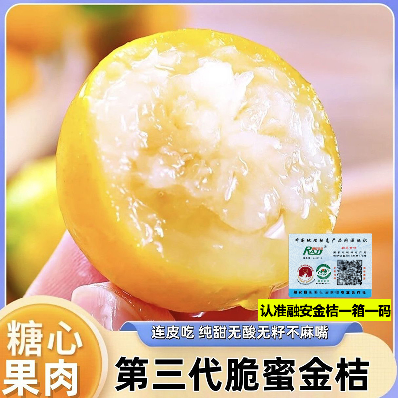 广西融安脆蜜第三代金桔超甜新鲜当季水果5斤礼盒顺丰包邮