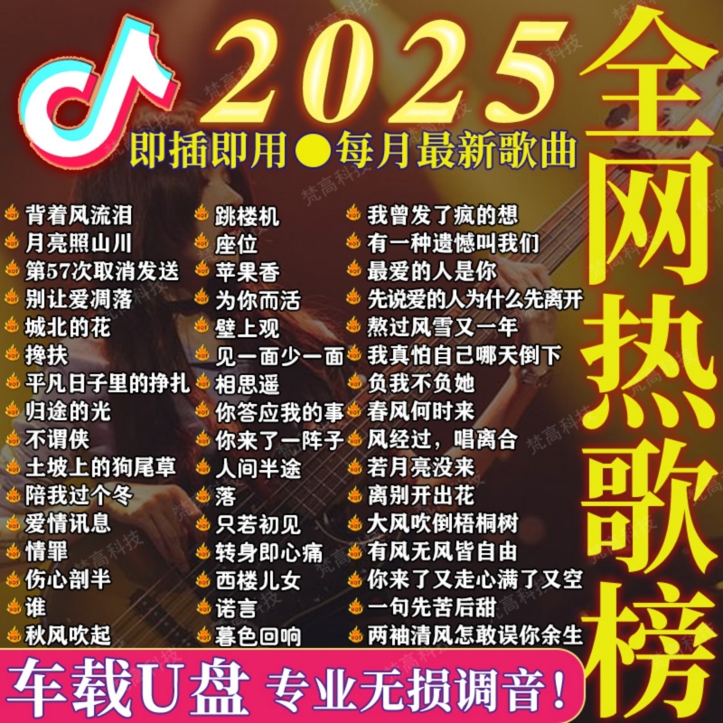 车载U盘车载U盘音乐U盘