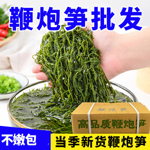 海鲜水产藻类鞭炮笋炮鞭笋马尾藻鞭炮笋火锅商用批发海草海带