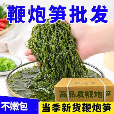 藻类鞭炮笋炮马尾藻火锅商用批发海草海带凉拌凉菜新鲜海藻回购