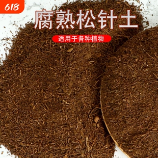 松针腐殖土杜鹃花专用土兰花土橡树叶腐叶土多肉君子兰天然腐殖土