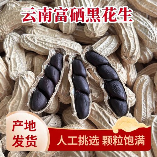 云南新货黑花生富硒新鲜带壳生的原味炒熟黑皮花生晒干油炸健康