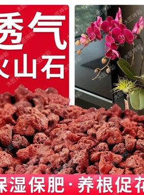 火山石养花蝴蝶兰花专用小颗粒铺面石子鱼缸造景砂石苔藓石头植物