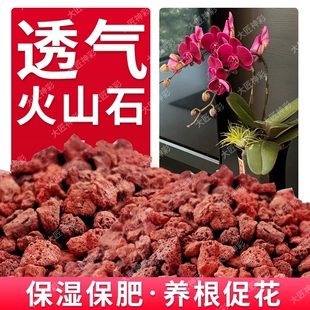 火山石养花蝴蝶兰花专用小颗粒多肉铺面石子鱼缸造景底部砂石苔藓
