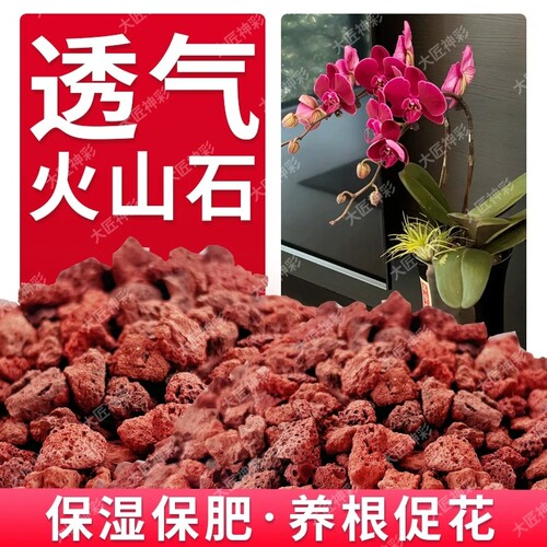 火山石养花蝴蝶兰花专用小颗粒多肉铺面石子鱼缸造景底部砂石苔藓