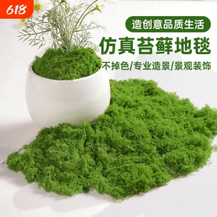 仿真苔藓草皮假青苔丝状仿生绿植盆栽人造景微景观花盆表面覆盖物
