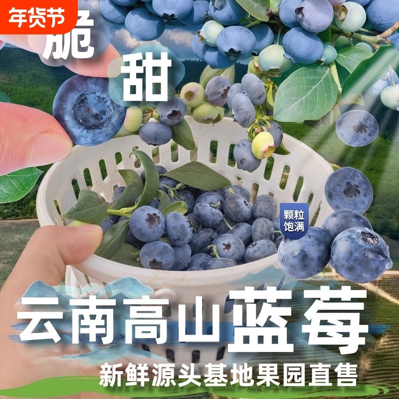 顺丰云南花香高山蓝莓蓝杯大礼盒装新鲜果水果大果现摘巨无霸果园,水产肉类/新鲜蔬果/熟食,蓝莓,淘宝优惠券,粉丝福利购,淘宝优惠卷