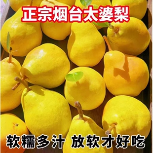 烟台太婆梨新鲜水果大头梨香蕉梨当季老妈子梨鸭梨葫芦梨软糯梨子