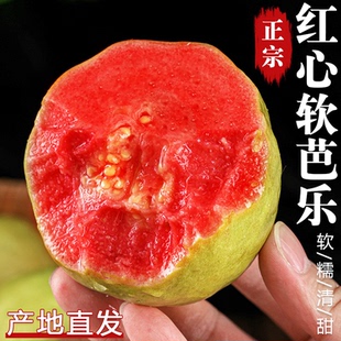 红心芭乐新鲜水果当季 芭乐果正宗软糯红心番石榴水果新鲜包邮