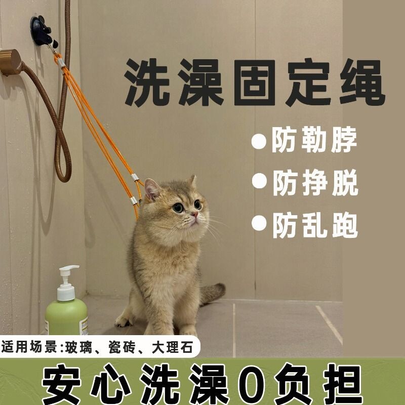 猫咪洗澡固定神器吸盘狗狗固定绳宠物美容台吊绳挂绳防抓防咬断图片