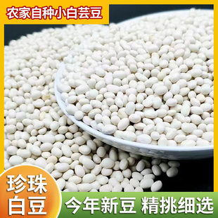 农家珍珠小白豆农家自种新鲜小白豆子芸豆农家贵州白金豆子小云豆