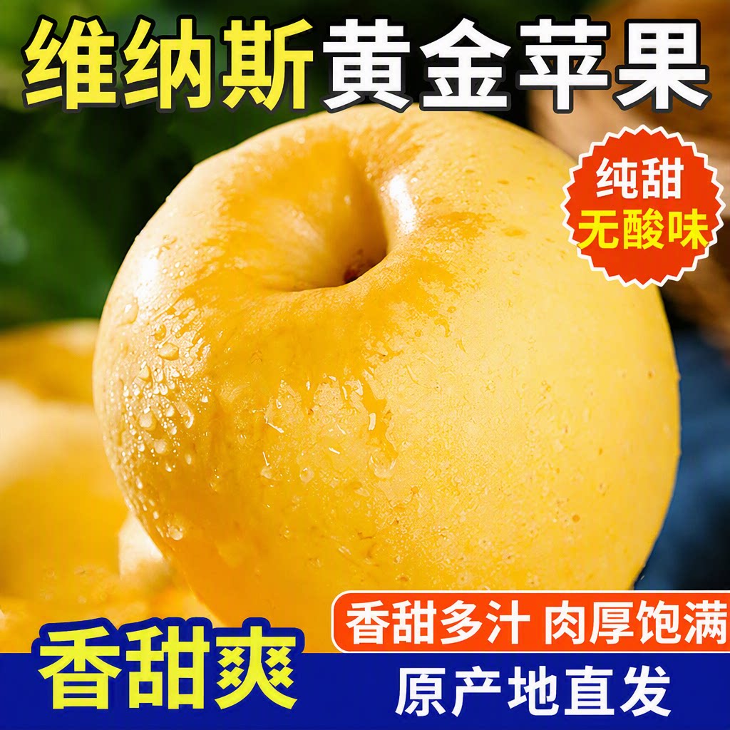 甘肃庆阳正宗黄金维纳斯苹果新鲜水果当季应季脆甜平果现摘优质