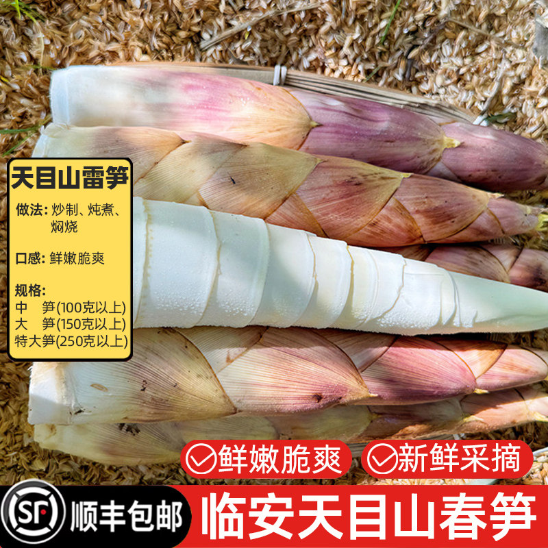 【顺丰包邮】临安雷笋新鲜现挖天目山野生带壳春笋黄泥笋时令蔬菜