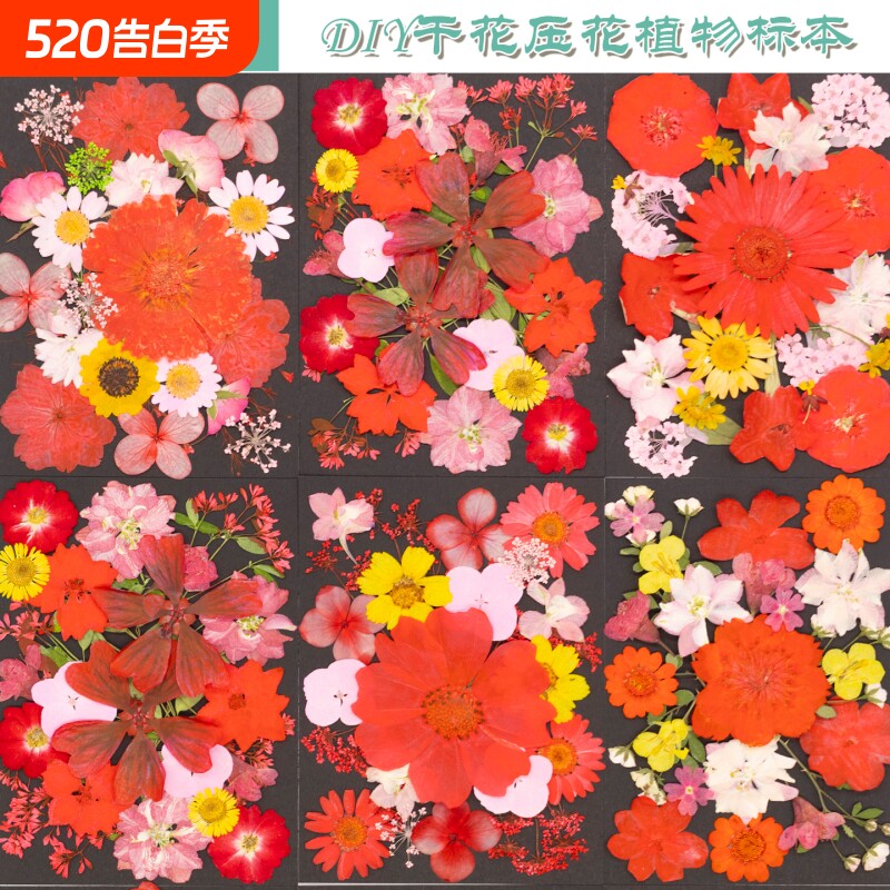 DIY干花压花植物标本多种花卉手工材料装饰制作滴胶相框装饰画