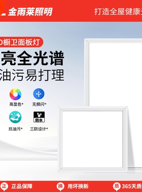 厨卫集成吊顶LED灯 30x60办公室面板灯60x60书房玄关铝扣板平板灯